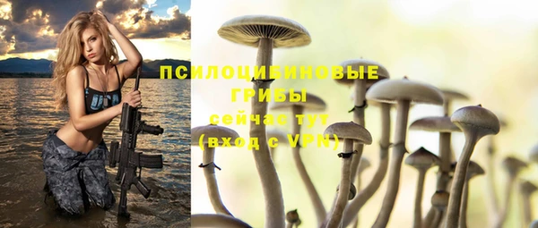 герыч Алзамай
