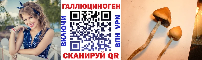 Псилоцибиновые грибы Magic Shrooms  Менделеевск 