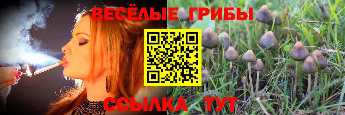 Менделеевск  Псилоцибиновые грибы ЛСД  Вход с VPN 